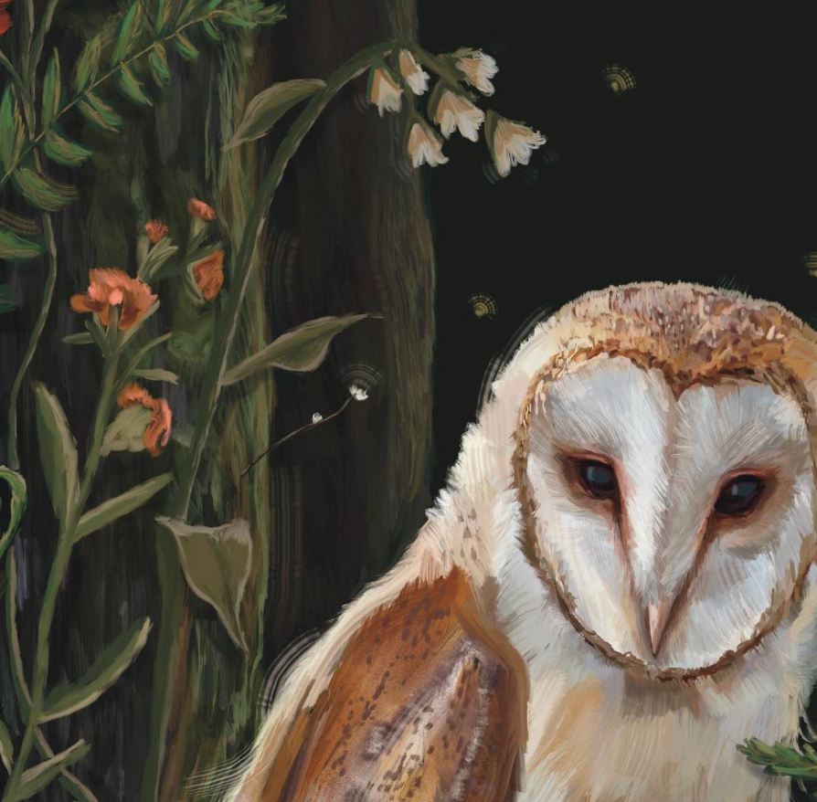 Owl in the Ferns Art Print