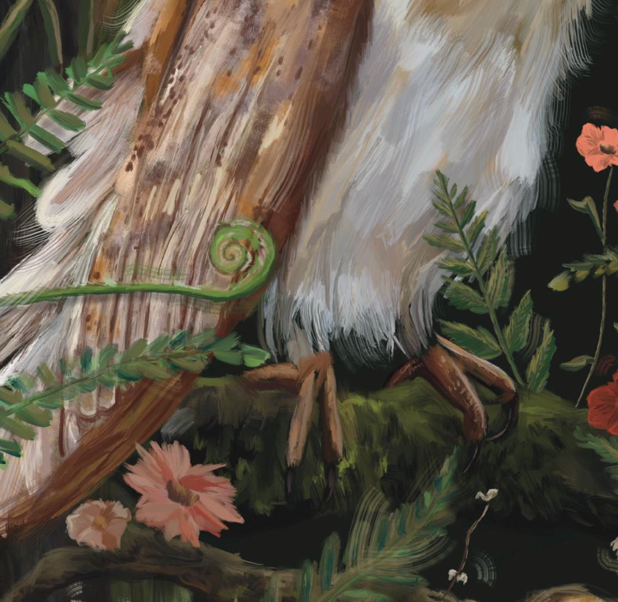 Owl in the Ferns Art Print